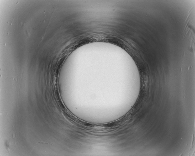 X0000103290507200808291111
