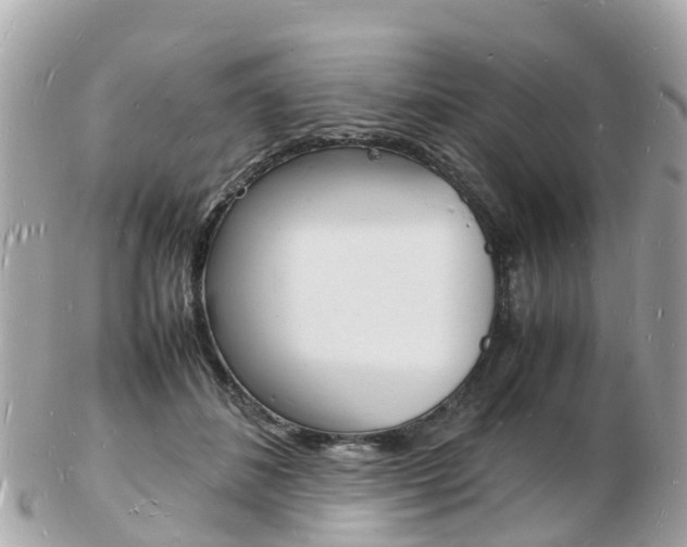 X0000103290508200808291111