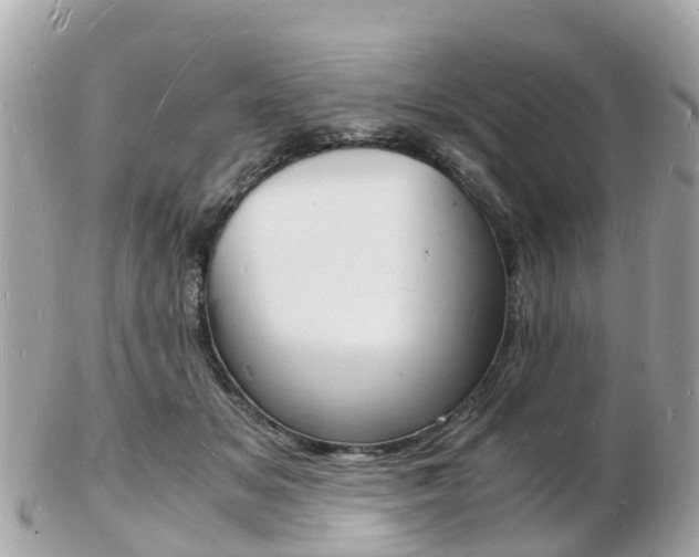 X0000103290509200808291111