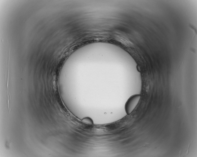 X0000103290510200808291111
