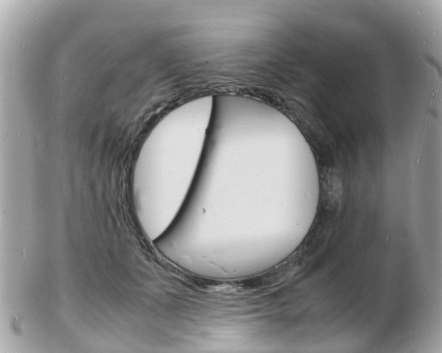 X0000103290511200808291111