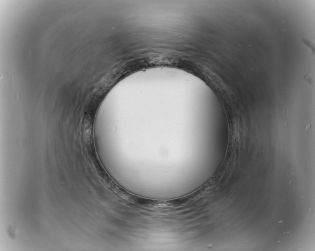 X0000103290513200808291111