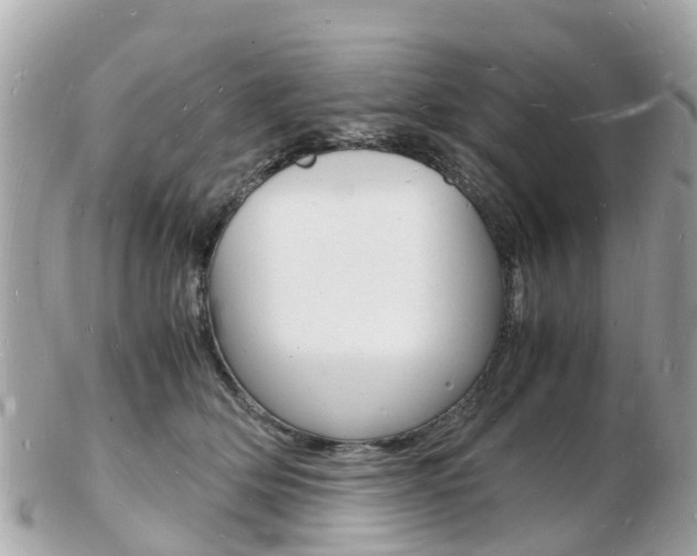 X0000103290514200808291111