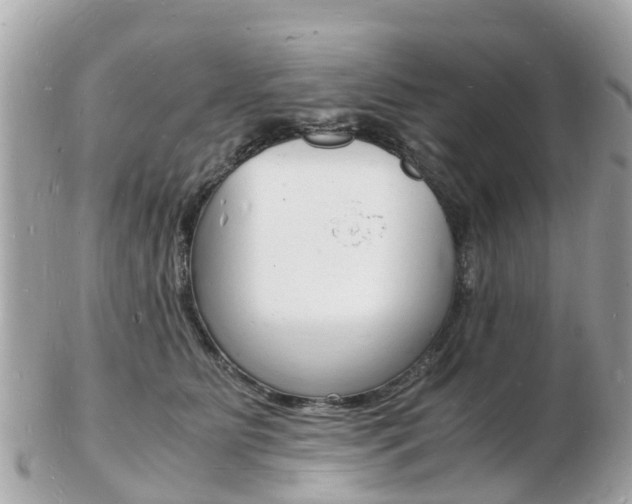 X0000103290515200808291111