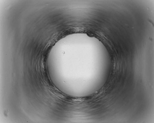 X0000103290516200808291111