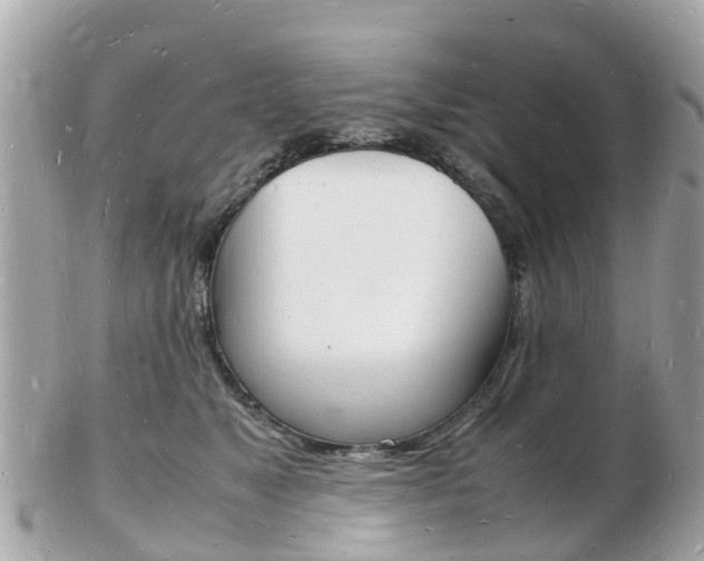 X0000103290517200808291111