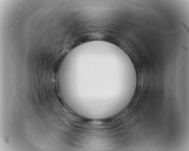 X0000103290518200808291111