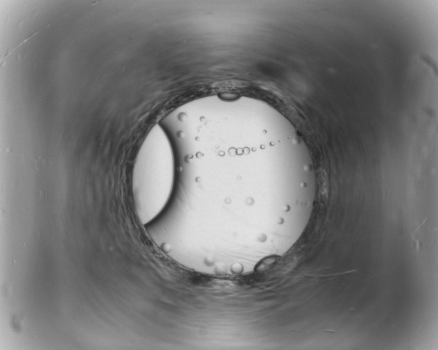X0000103290519200808291111