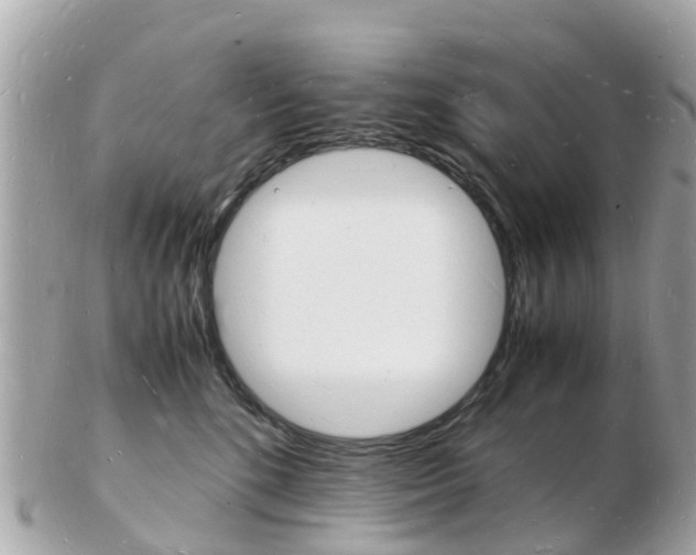 X0000103290520200808291111