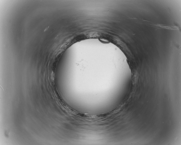 X0000103290521200808291111
