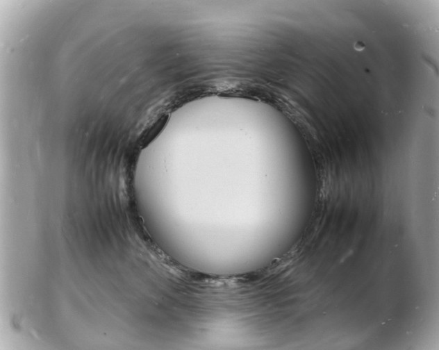 X0000103290524200808291111