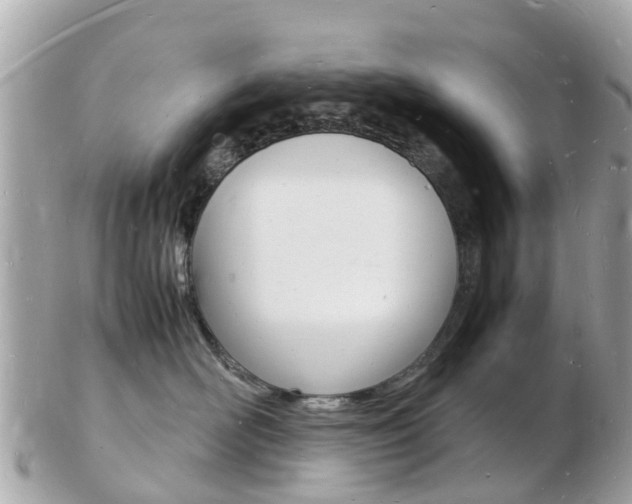 X0000103290526200808291111