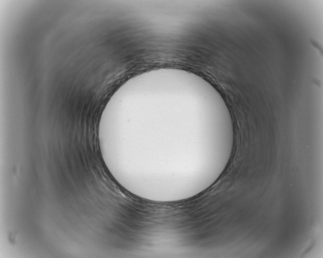 X0000103290528200808291111