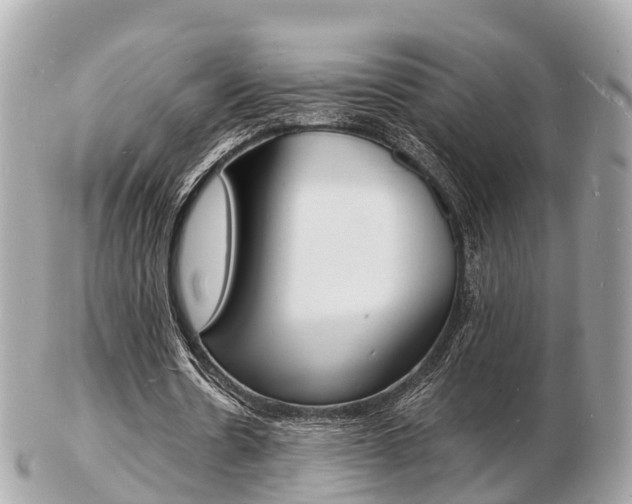 X0000103290530200808291110
