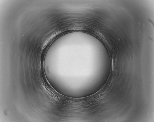 X0000103290531200808291110