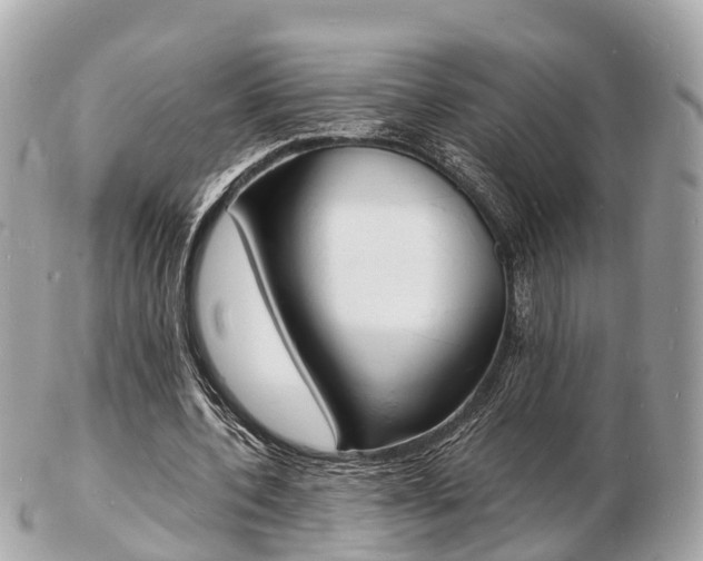 X0000103290532200808291110
