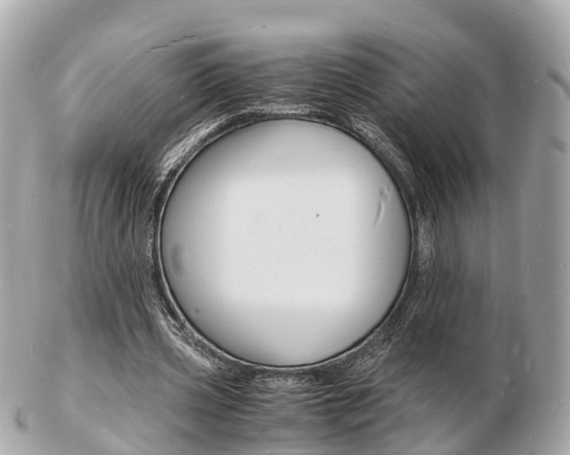 X0000103290533200808291110