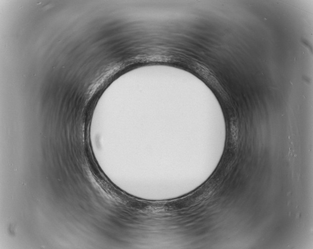 X0000103290534200808291110