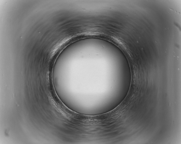 X0000103290535200808291110
