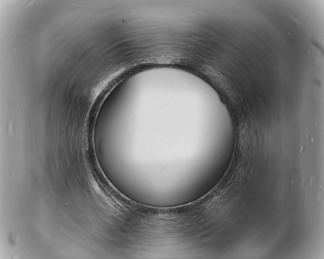 X0000103290536200808291110