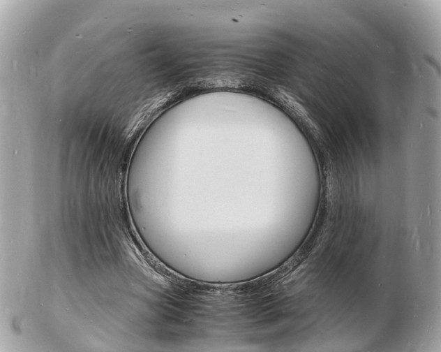 X0000103290537200808291110