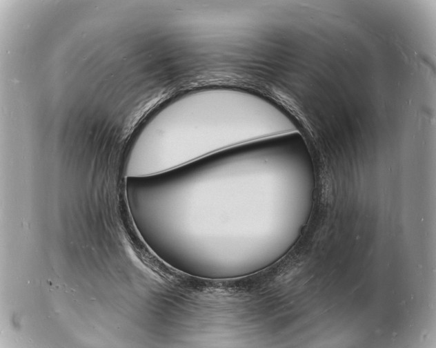 X0000103290538200808291110