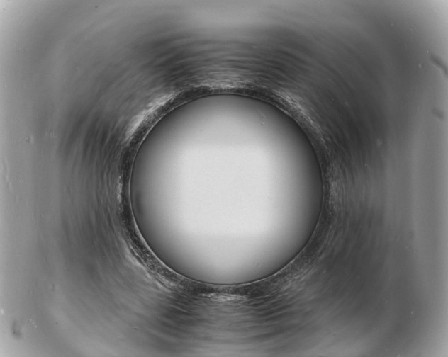 X0000103290539200808291110