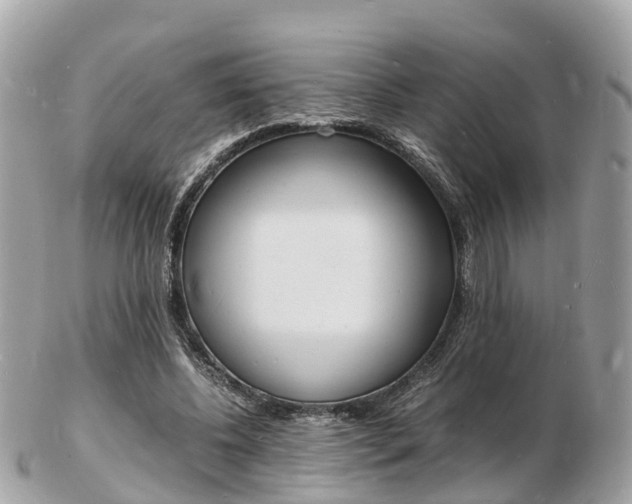 X0000103290540200808291110