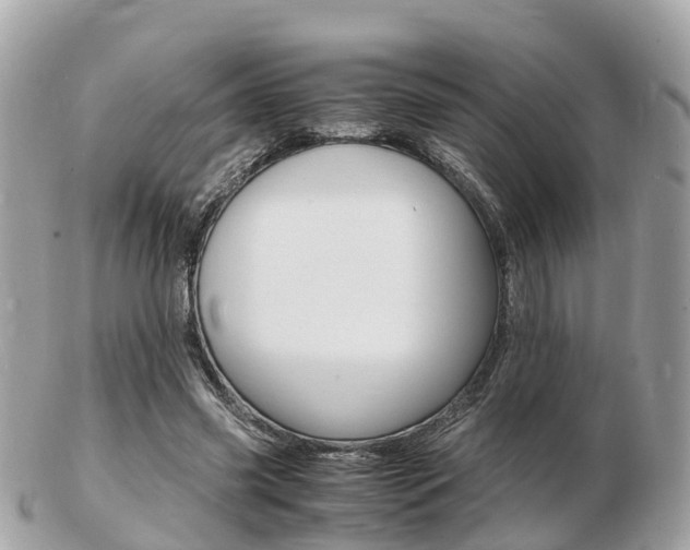 X0000103290541200808291110