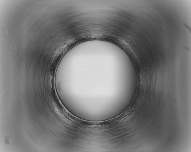 X0000103290542200808291110