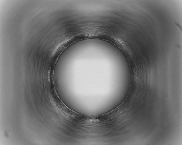 X0000103290543200808291110