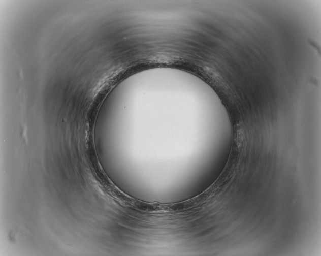 X0000103290544200808291110