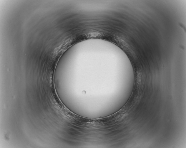 X0000103290545200808291110