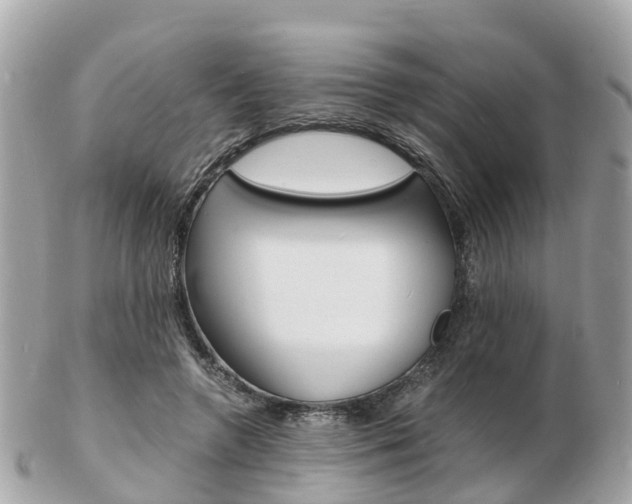 X0000103290546200808291110