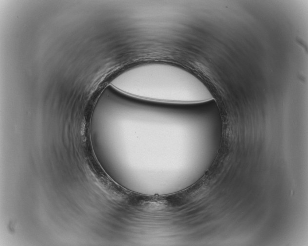 X0000103290548200808291110