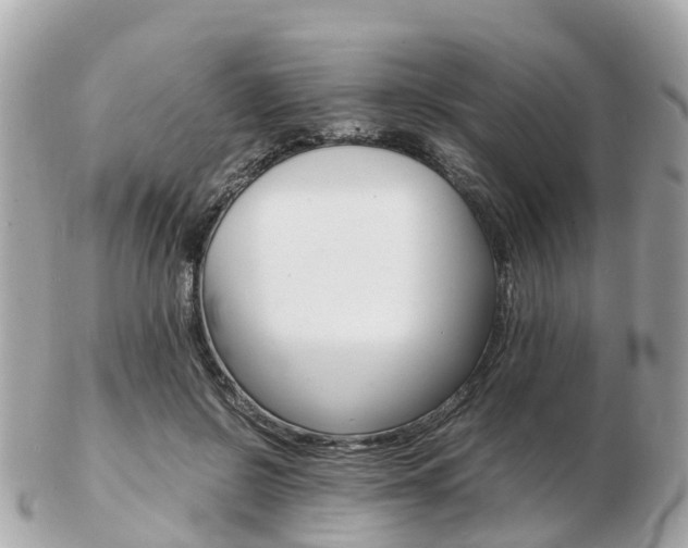 X0000103290550200808291110