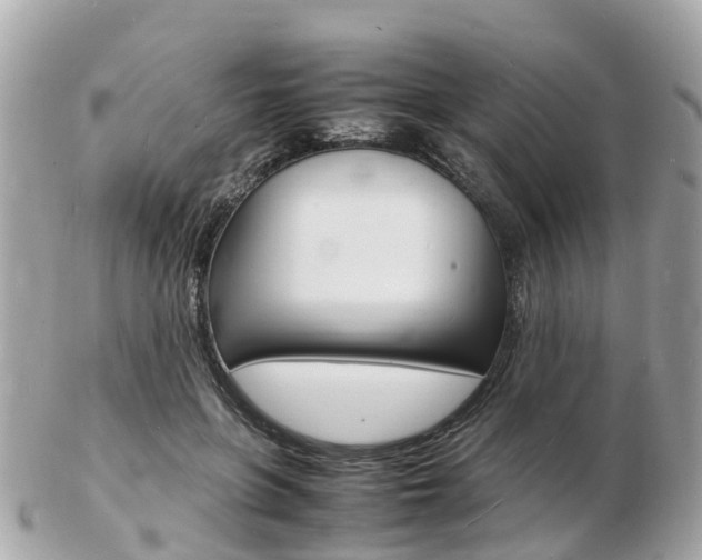 X0000103290551200808291110