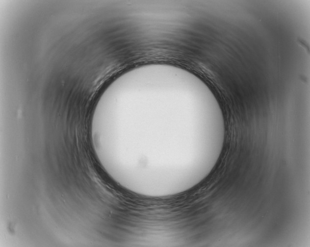 X0000103290552200808291110