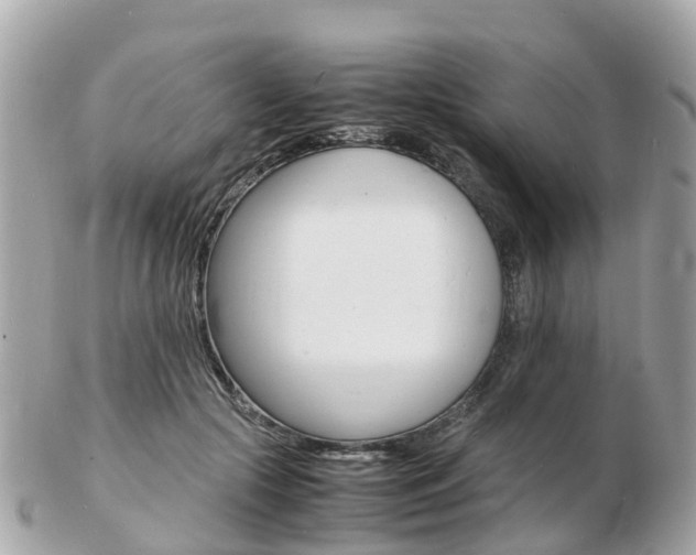 X0000103290553200808291110