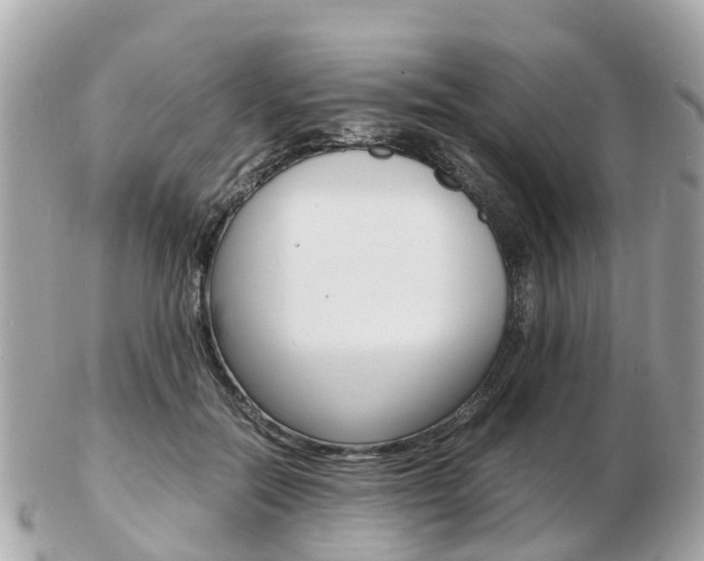 X0000103290554200808291110