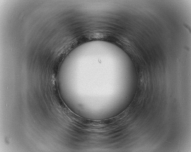 X0000103290555200808291110