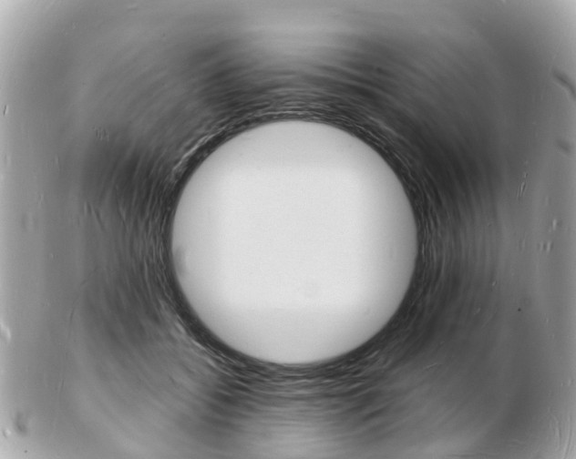 X0000103290556200808291110