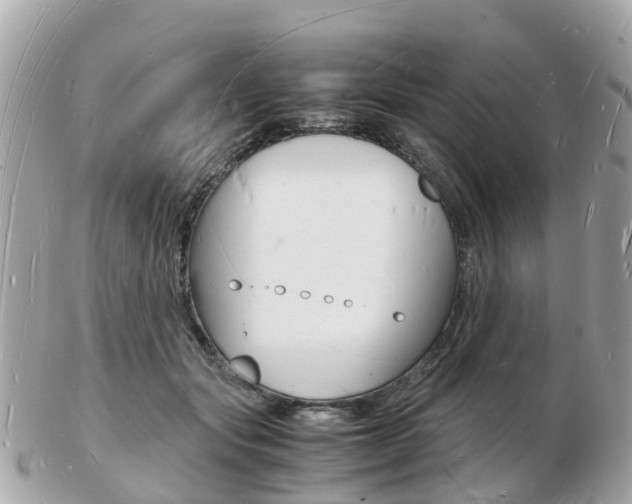X0000103290557200808291110
