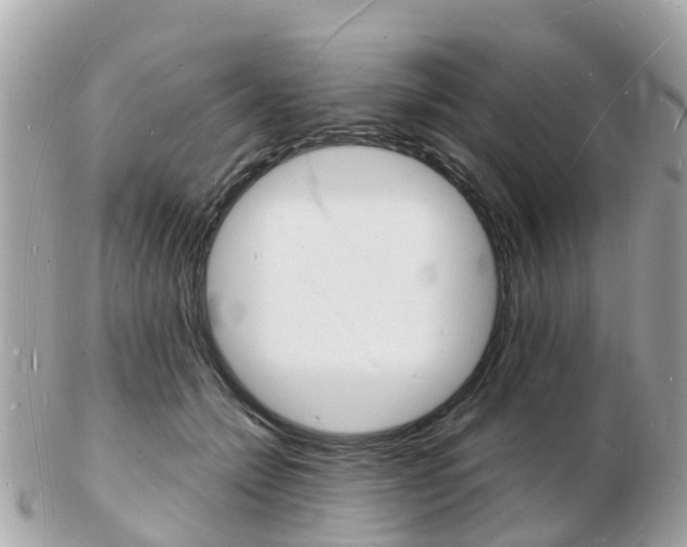 X0000103290558200808291110