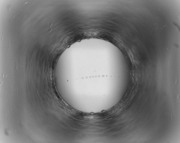 X0000103290561200808291110