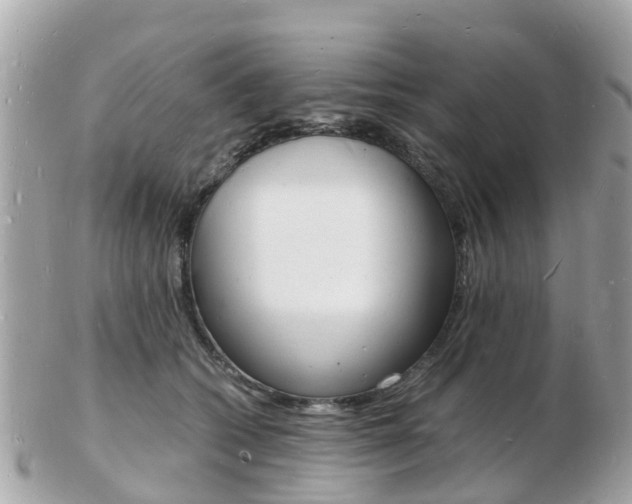 X0000103290562200808291110