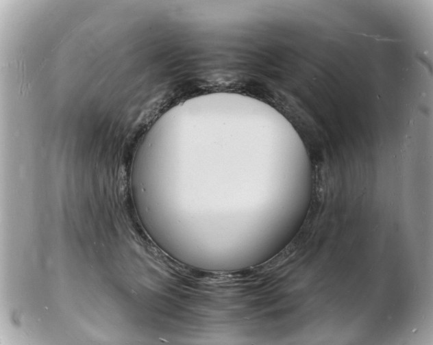 X0000103290563200808291110