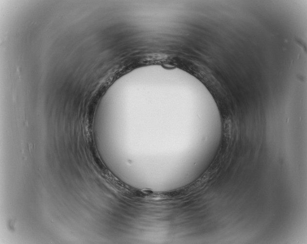 X0000103290564200808291110