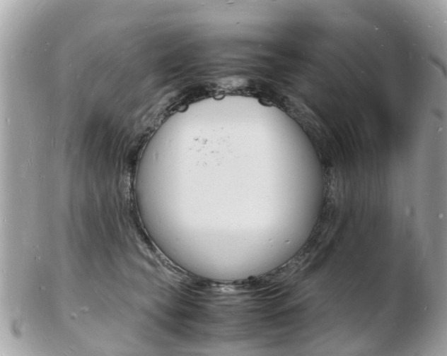 X0000103290565200808291110