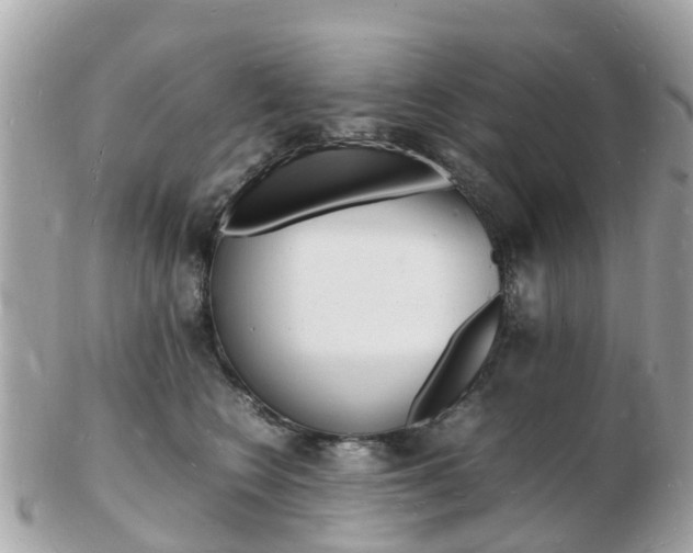 X0000103290566200808291110